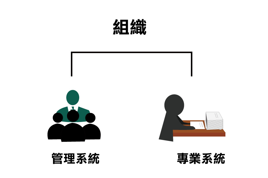 將組織分成兩個系統，一個是管理系統，一個是專業系統。