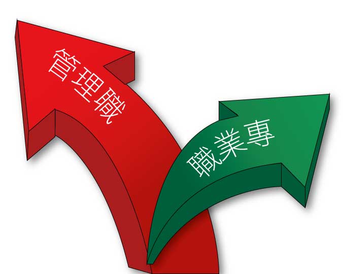 雙軌制, 雙軌制度怎麼分, 什麼是雙軌制
